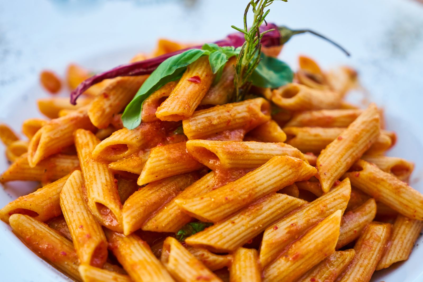 Bord penne met tomatensaus en basilicum Bord penne met tomatensaus en basilicum