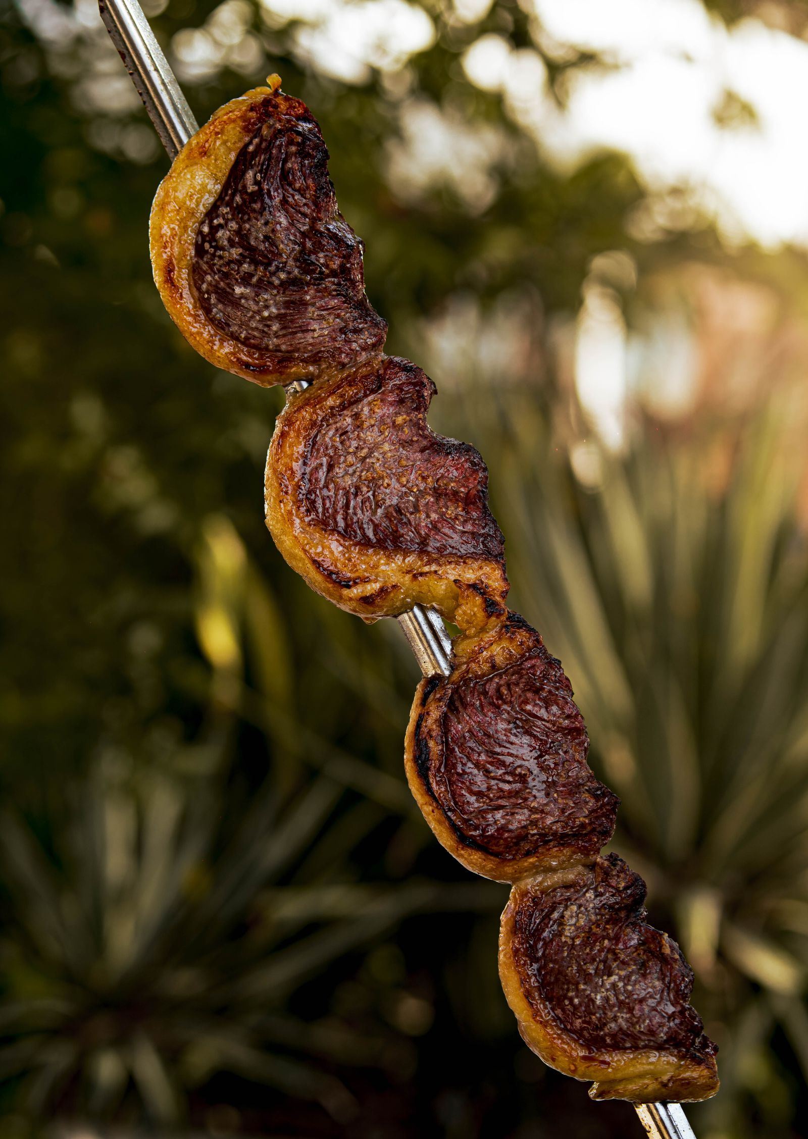 Gegrilde picanha aan een spies